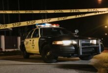 mobile call source investigation