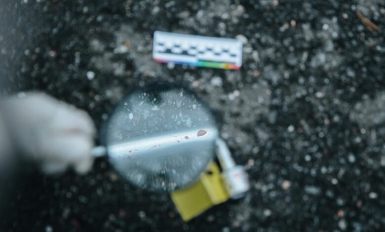 fraudulent number detection alert