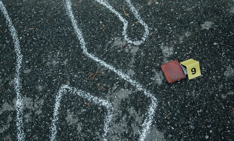 fraudulent number detection hotline