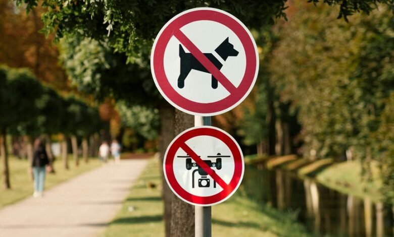 hotline directory access numbers